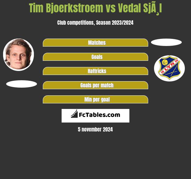 Tim Bjoerkstroem vs Vedal SjÃ¸l h2h player stats