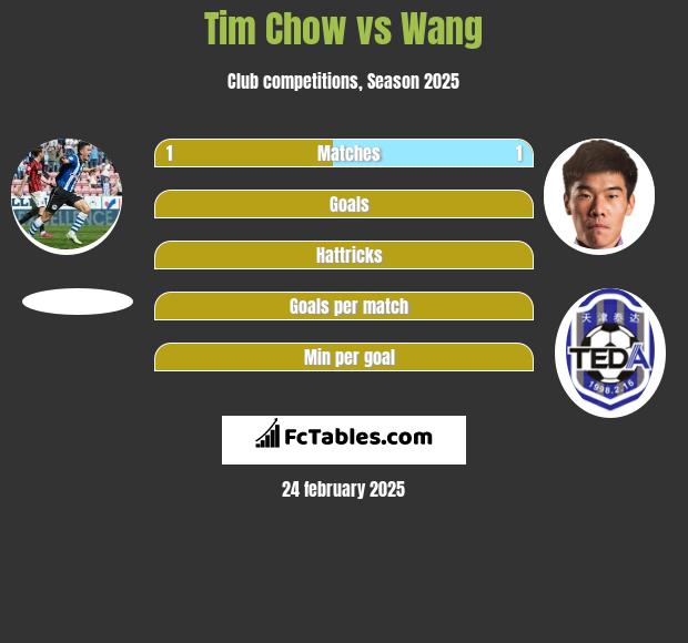 Tim Chow vs Wang h2h player stats