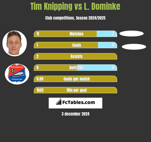 Tim Knipping vs L. Dominke h2h player stats