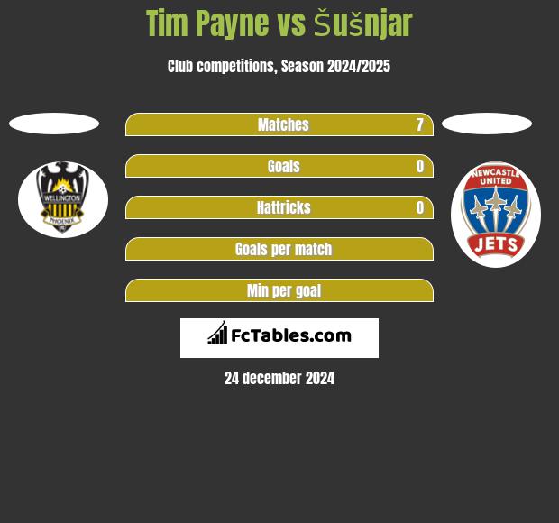 Tim Payne vs Šušnjar h2h player stats