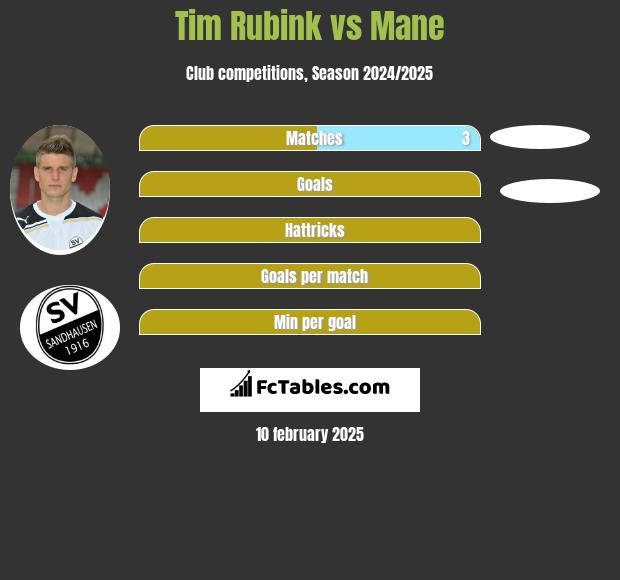 Tim Rubink vs Mane h2h player stats