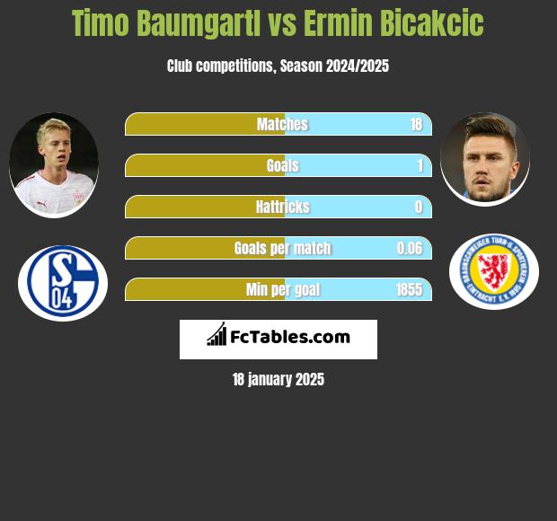 Timo Baumgartl vs Ermin Bicakcić h2h player stats