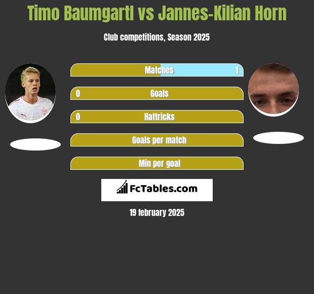 Timo Baumgartl vs Jannes-Kilian Horn h2h player stats