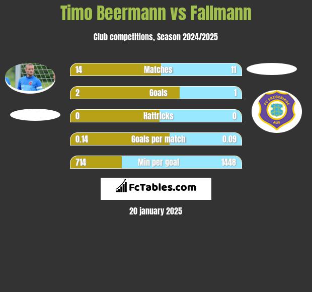 Timo Beermann vs Fallmann h2h player stats