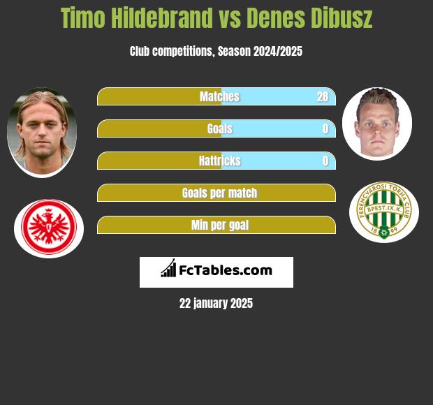 Timo Hildebrand vs Denes Dibusz h2h player stats