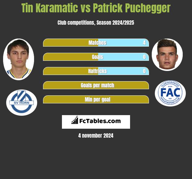 Tin Karamatic vs Patrick Puchegger h2h player stats