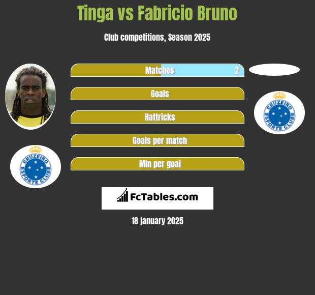 Tinga vs Fabricio Bruno h2h player stats