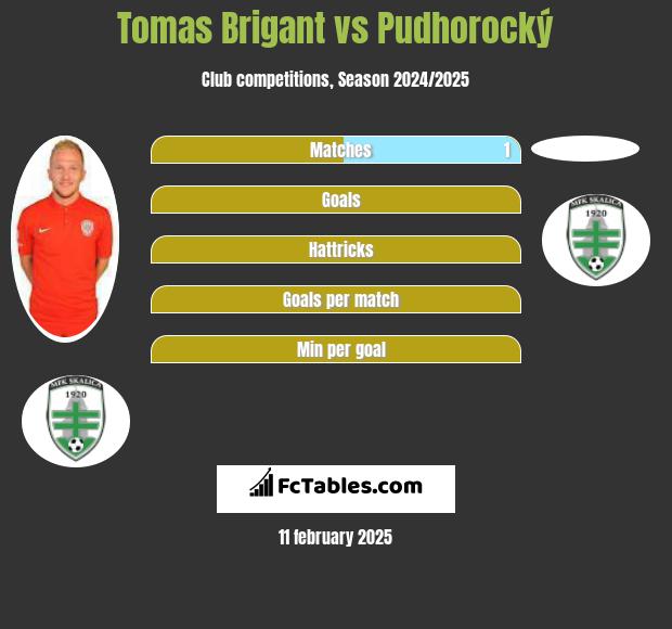 Tomas Brigant vs Pudhorocký h2h player stats