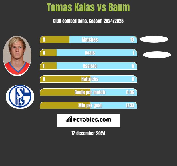 Tomas Kalas vs Baum h2h player stats