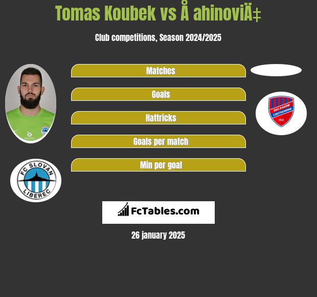 Tomas Koubek vs Å ahinoviÄ‡ h2h player stats