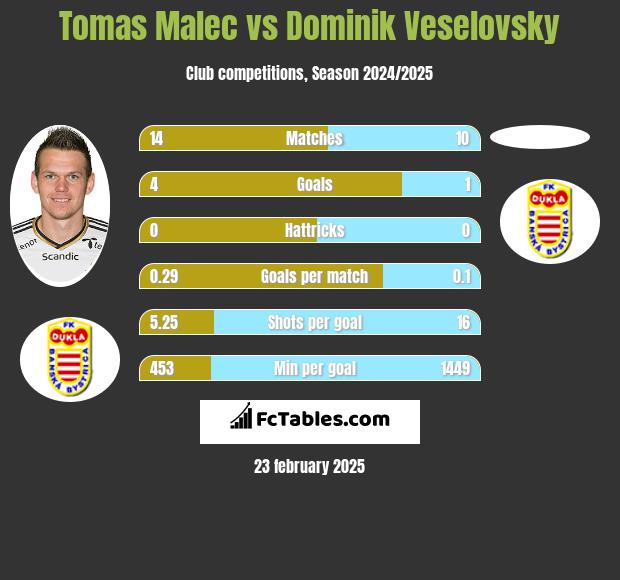 Tomas Malec vs Dominik Veselovsky h2h player stats