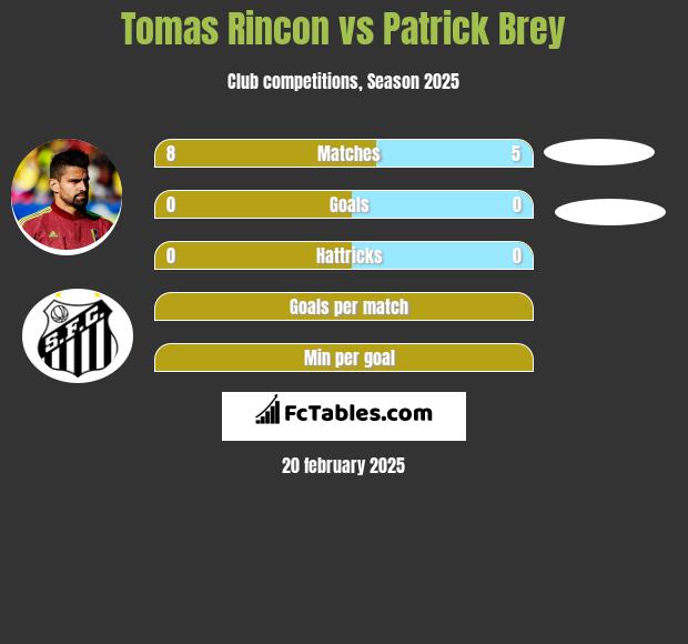 Tomas Rincon vs Patrick Brey h2h player stats