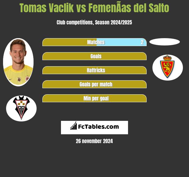 Tomas Vaclik vs FemenÃ­as del Salto h2h player stats