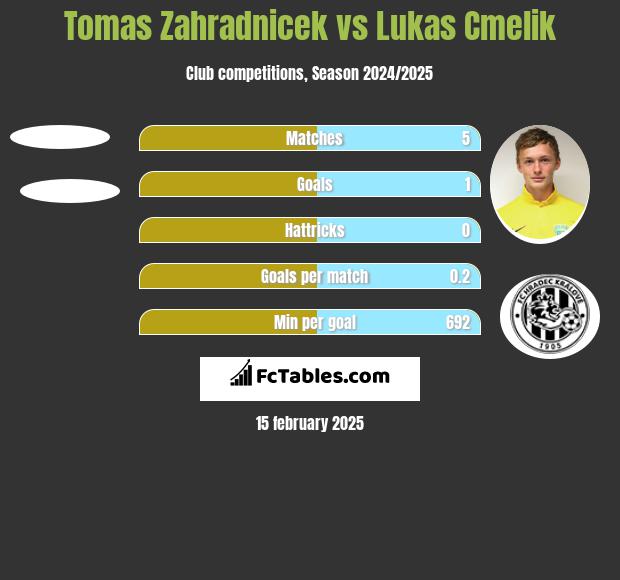 Tomas Zahradnicek vs Lukas Cmelik h2h player stats