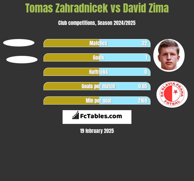 Tomas Zahradnicek vs David Zima h2h player stats