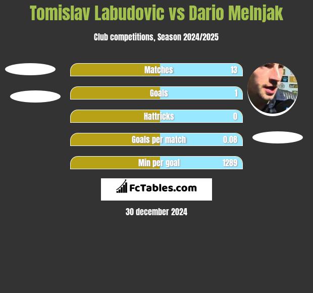 Tomislav Labudovic vs Dario Melnjak h2h player stats