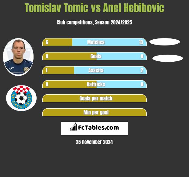 Tomislav Tomic vs Anel Hebibovic h2h player stats