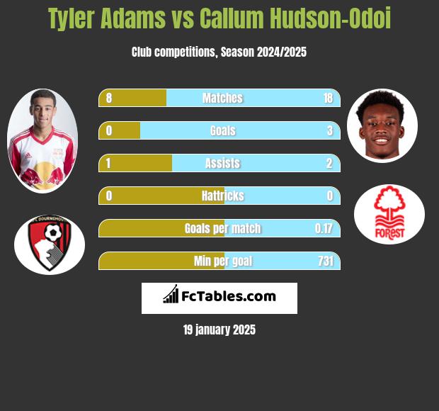 Tyler Adams vs Callum Hudson-Odoi h2h player stats