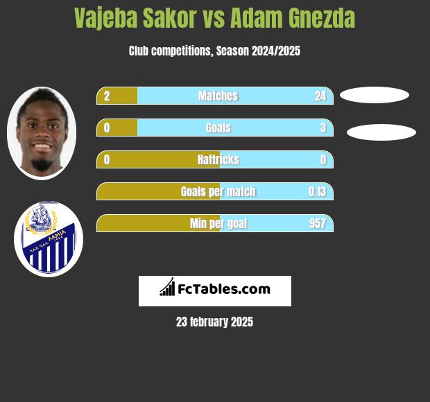 Vajeba Sakor vs Adam Gnezda h2h player stats