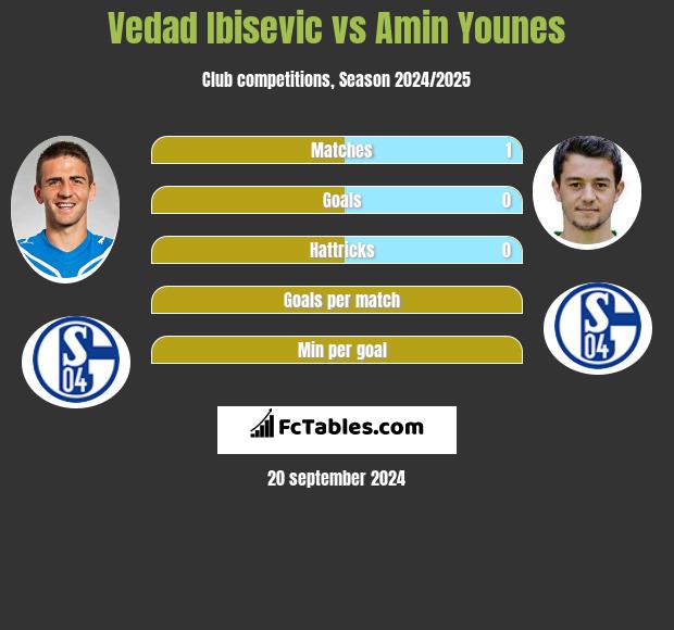 Vedad Ibisevic vs Amin Younes h2h player stats