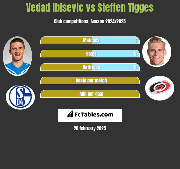 Vedad Ibisević vs Steffen Tigges h2h player stats