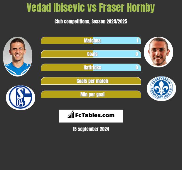 Vedad Ibisevic vs Fraser Hornby h2h player stats