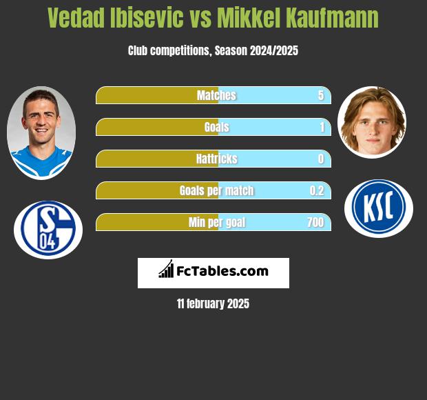 Vedad Ibisević vs Mikkel Kaufmann h2h player stats