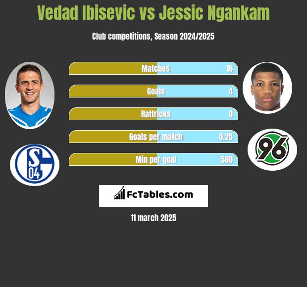 Vedad Ibisevic vs Jessic Ngankam h2h player stats