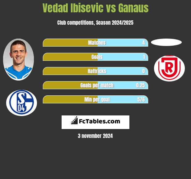 Vedad Ibisevic vs Ganaus h2h player stats