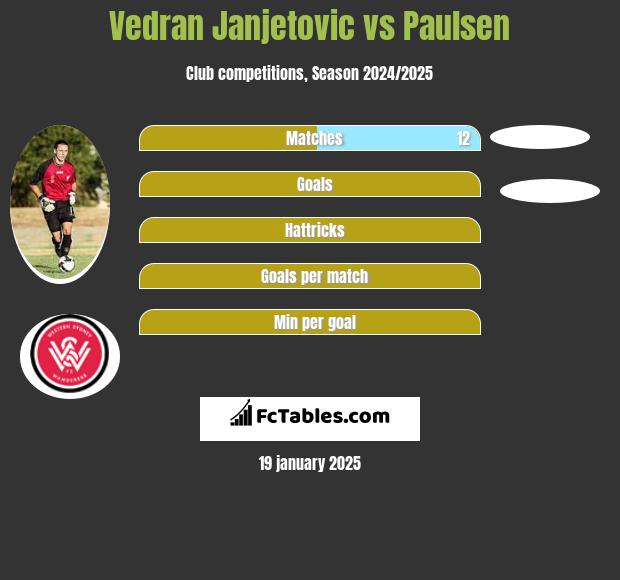 Vedran Janjetovic vs Paulsen h2h player stats