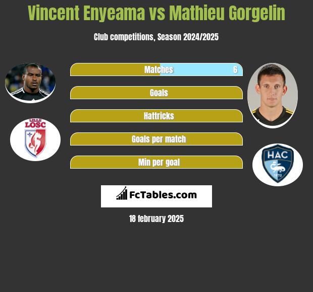 Vincent Enyeama vs Mathieu Gorgelin h2h player stats