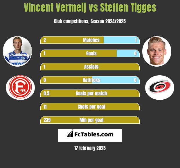 Vincent Vermeij vs Steffen Tigges h2h player stats