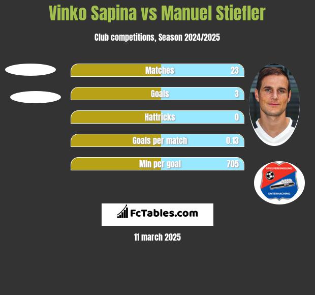 Vinko Sapina vs Manuel Stiefler h2h player stats