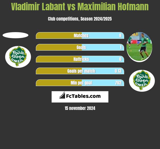 Vladimir Labant vs Maximilian Hofmann h2h player stats