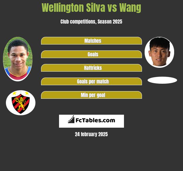 Wellington Silva vs Wang h2h player stats