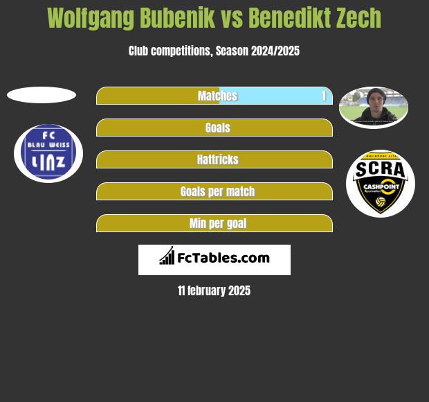 Wolfgang Bubenik vs Benedikt Zech h2h player stats