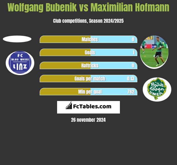 Wolfgang Bubenik vs Maximilian Hofmann h2h player stats