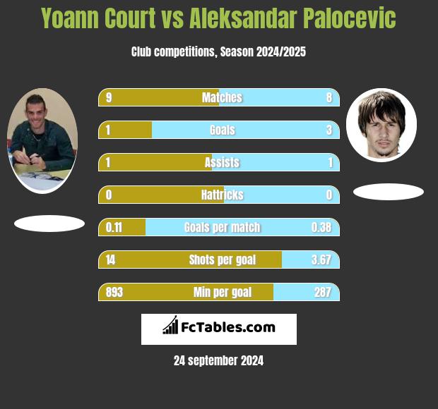 Yoann Court vs Aleksandar Palocevic h2h player stats