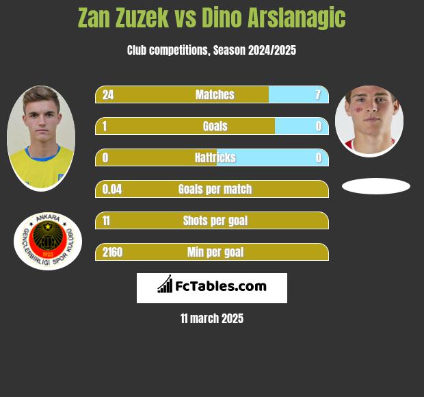 Zan Zuzek vs Dino Arslanagic h2h player stats