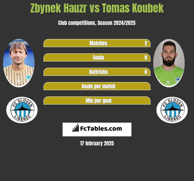 Zbynek Hauzr vs Tomas Koubek h2h player stats