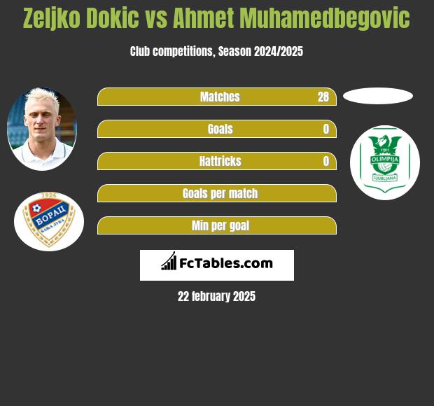 Żeljko Dokić vs Ahmet Muhamedbegovic h2h player stats