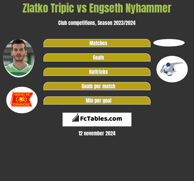 Zlatko Tripic vs Engseth Nyhammer h2h player stats