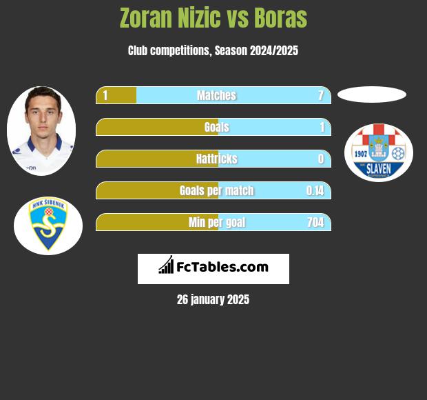 Zoran Nizic vs Boras h2h player stats