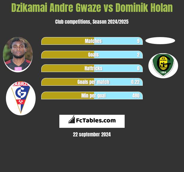 Dzikamai Andre Gwaze vs Dominik Holan h2h player stats