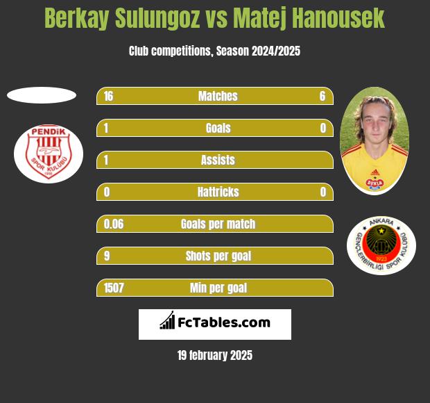 Berkay Sulungoz vs Matej Hanousek h2h player stats