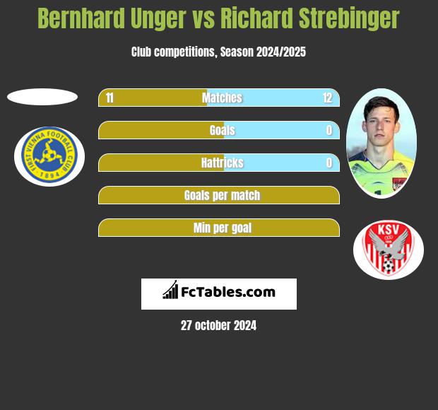 Bernhard Unger vs Richard Strebinger h2h player stats