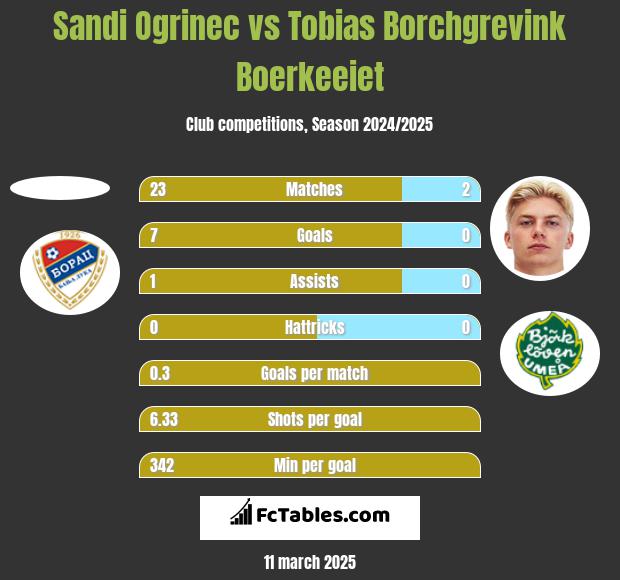 Sandi Ogrinec vs Tobias Borchgrevink Boerkeeiet h2h player stats