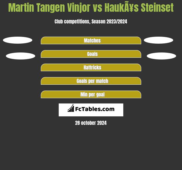 Martin Tangen Vinjor vs HaukÃ¥s Steinset h2h player stats