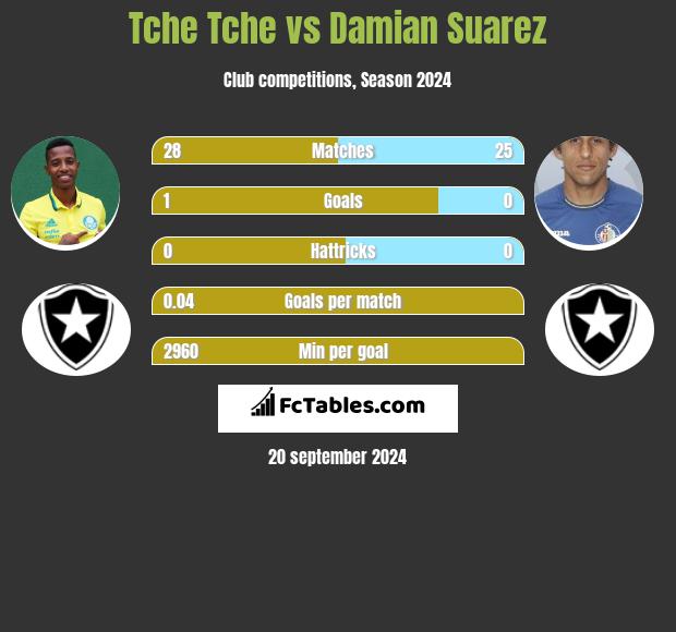 Tche Tche vs Damian Suarez h2h player stats