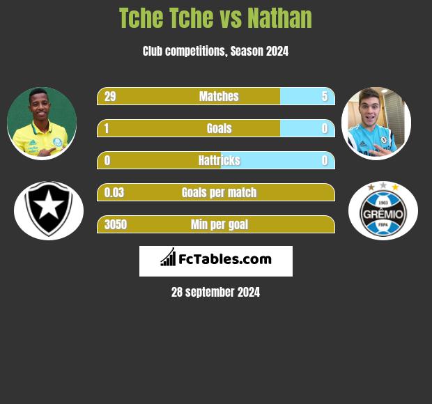 Tche Tche vs Nathan h2h player stats